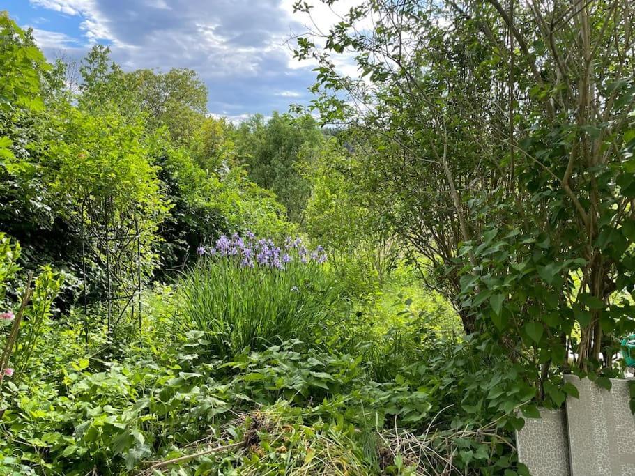 Freiblick 3 Bad Glbg Mit Terrasse Top 3 Bad Gleichenberg Exterior foto